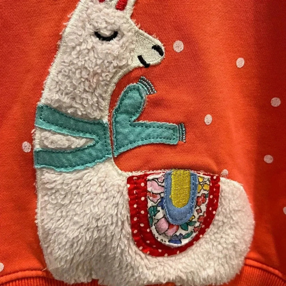 Kids llama appliqué sweatshirt - Picture 2 of 4